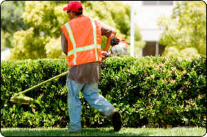 lawn care and landscaping business software