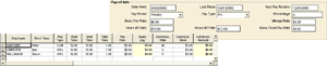 employee payroll information screen